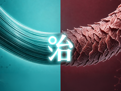 髮質重建